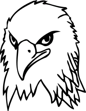 Vulturi 2