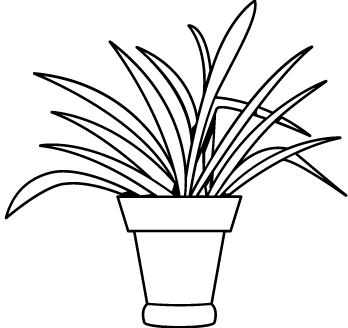 Plante 3