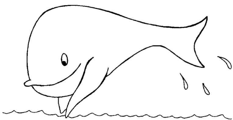 Balena 2