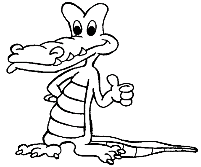 Aligatori Si Crocodili 5
