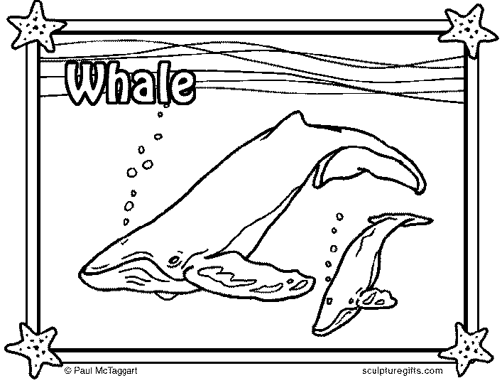 Balena 3