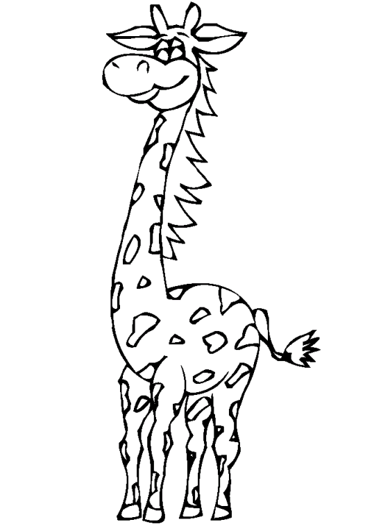 Girafe 8