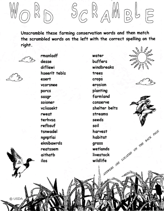 Cuvinte In Engleza 53