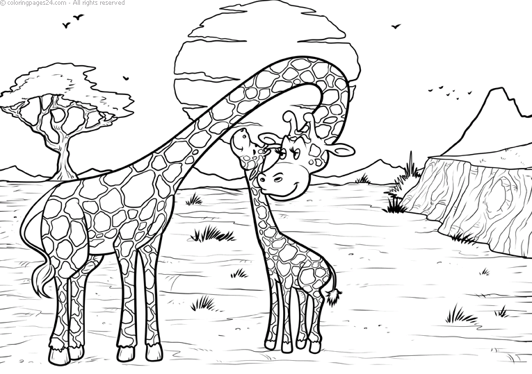 Girafe 17