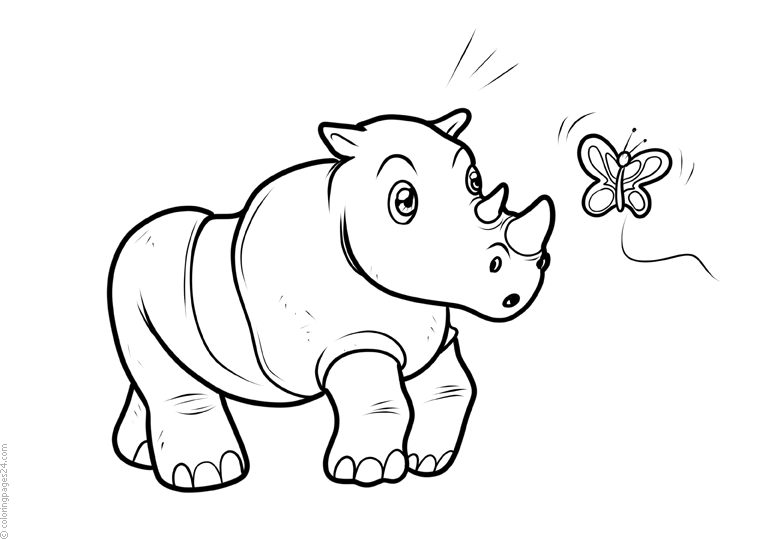 Rinoceri 3