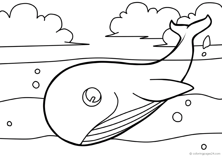 Balena 7