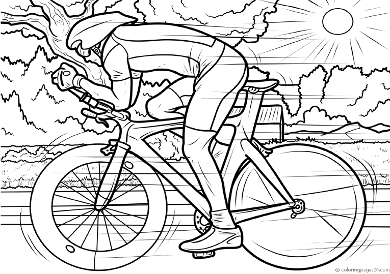 Ciclism 13