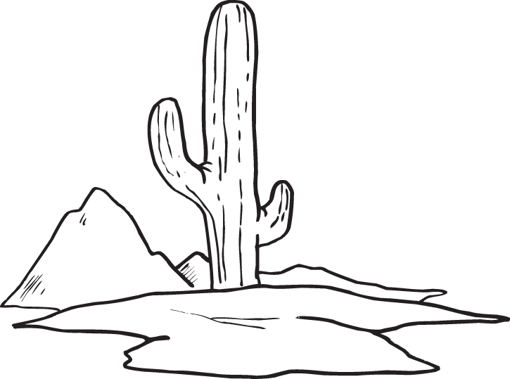 Cactusi 8