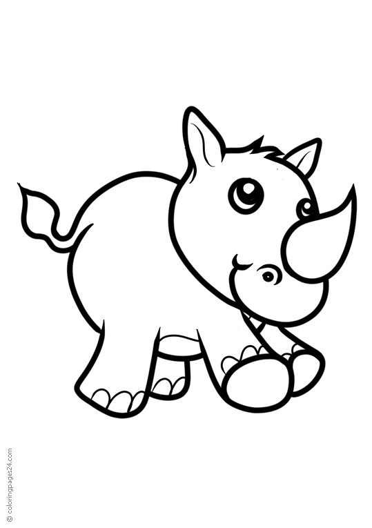 Rinoceri 6
