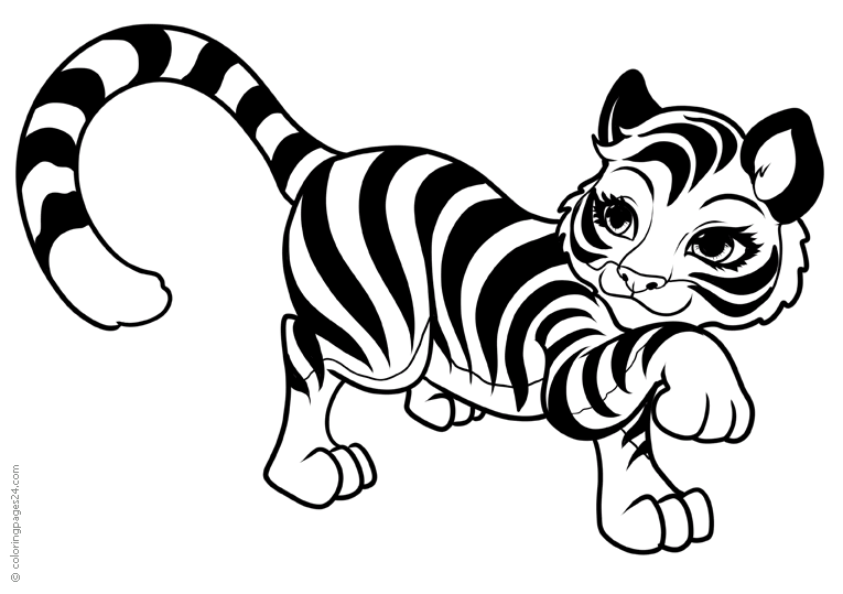 Tigri 7
