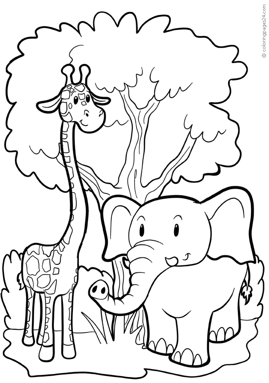 Elefanti 22