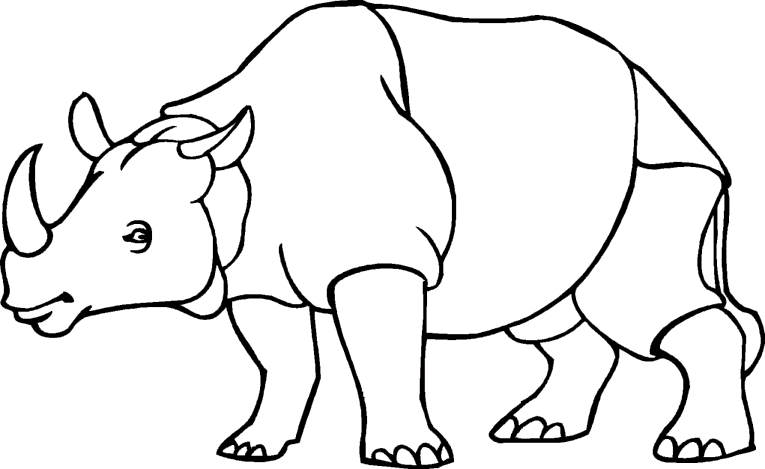 Rinoceri 1