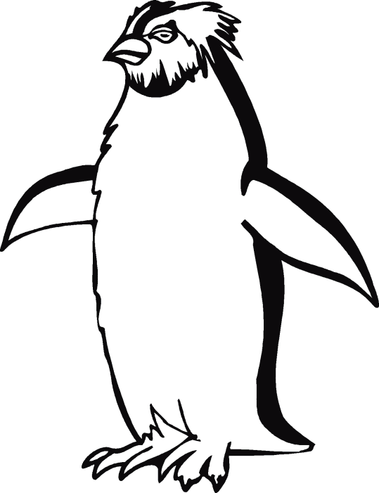 Pinguini 1