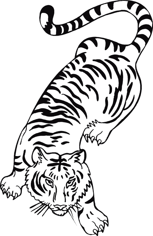 Tigri 1