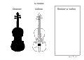 Instrumente Muzicale - 2