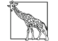 Girafe - 7